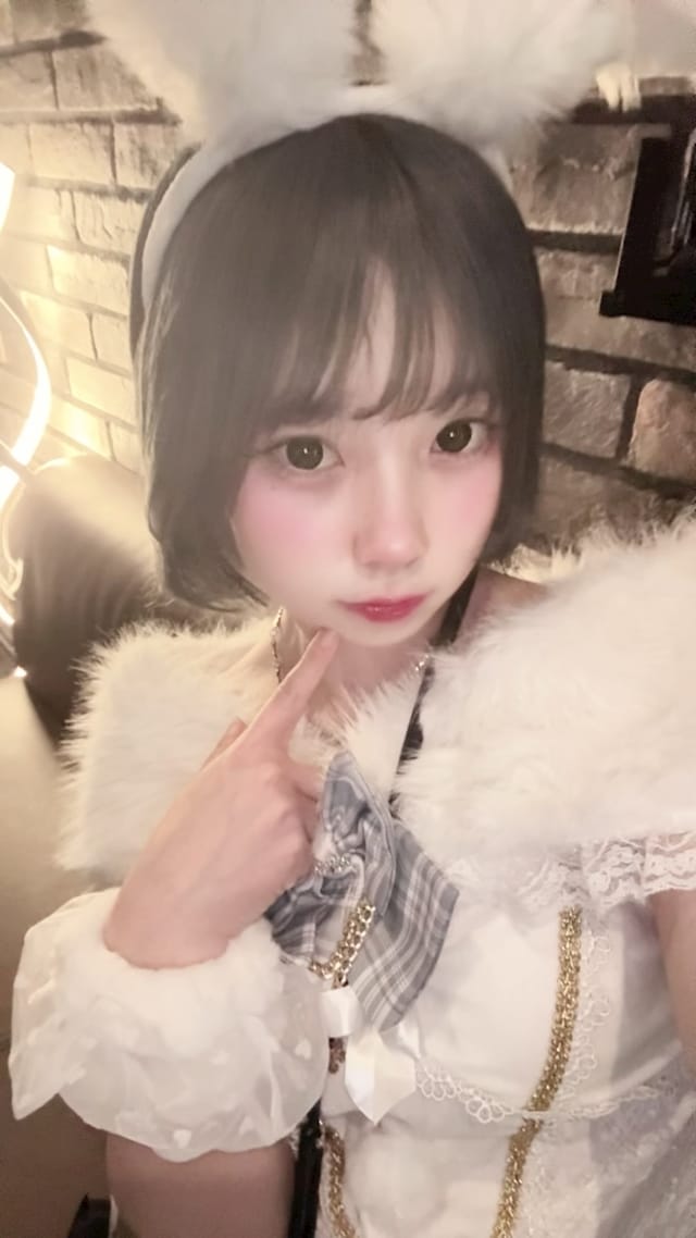 【WordPress】サムネイルをクリックすると画像が切り替わるコンテンツを作る方法、動作不具合時の対応|Knowledge Base